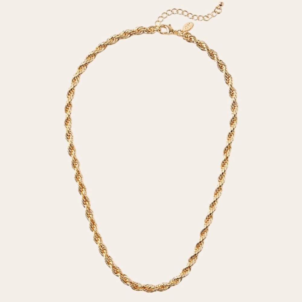 NWT LOFT Rope Chain Necklace